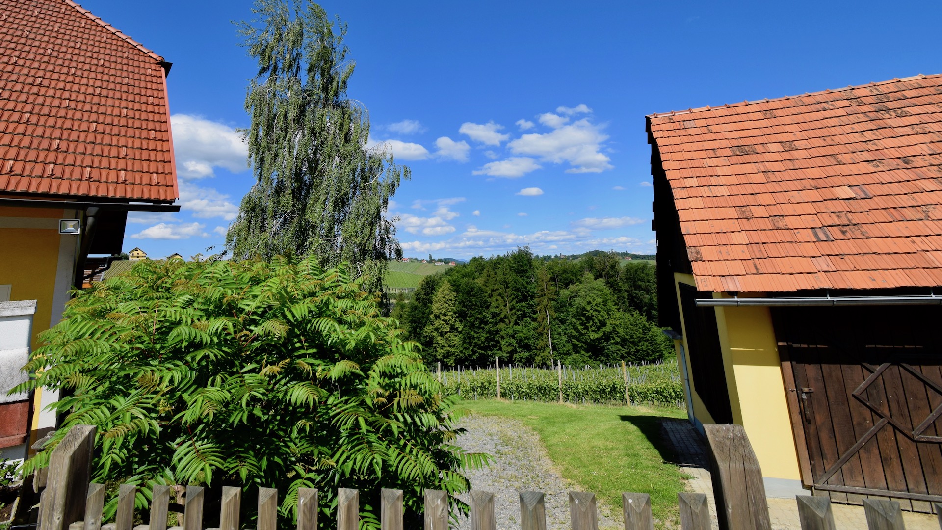 bz-immobilien